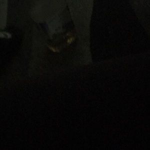 Meet your Posher, Ericka